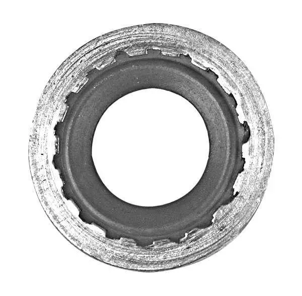 Уплотнительное кольцо (GASKET) 49955
