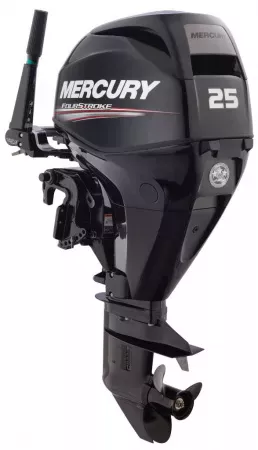 Мотор лодочный подвесной МЕ-F25 М EFI