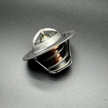Термостат (THERMOSTAT-160) 8M0091470/8M0109441