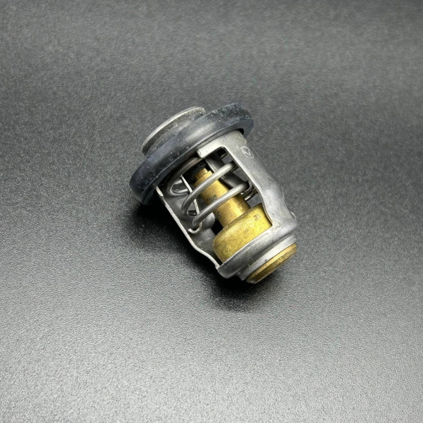 Термостат (THERMOSTAT) 825212T02