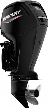 Мотор лодочный подвесной МЕ-F80 ELPT EFI